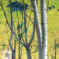 Aspens