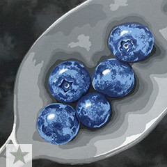 Blueberries